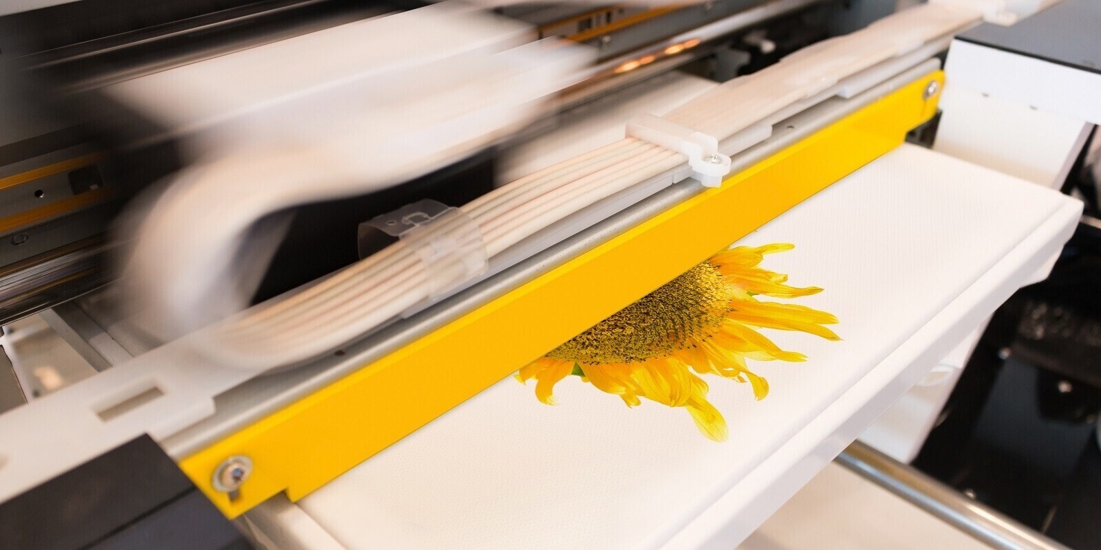 Future of Digital Printing on Paper Surfaces