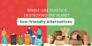 Eco-Friendly Alternative to Plastic Packaging
